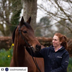 Image post by @thebloodhorse on Instagram