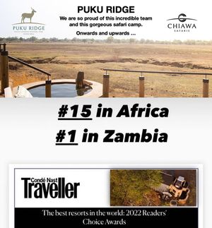 Image post by @chiawasafaris on Instagram