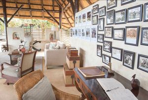 Image post by @chiawasafaris on Instagram