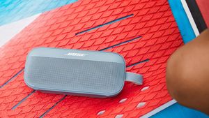 Image post by @Bose on Twitter/X