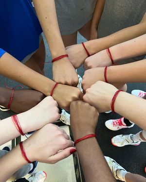 Image post by @hofstravb on Instagram