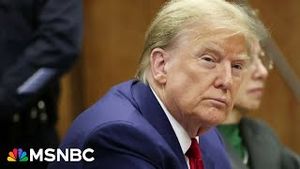 Video post by @msnbc on YouTube