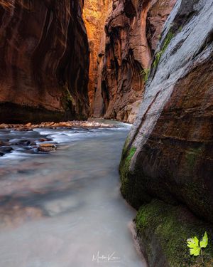 Image post by @nationalparkscollective on Instagram