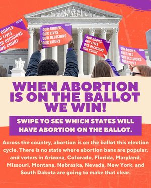 Image post by @reprofreedomforall on Instagram
