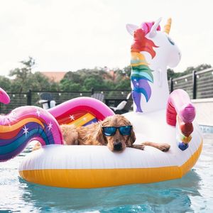 Image post by @knockaround on Instagram