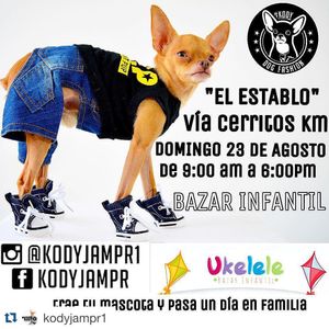Image post by @nickyjam on Instagram