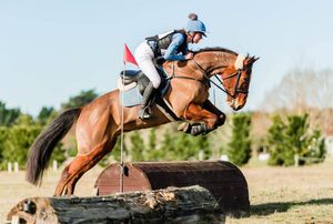 Image post by @NZHorseAmbulanceTrust on Facebook
