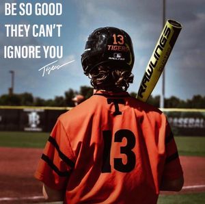 Image post by @rawlingstigers on Instagram