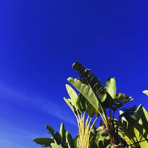 Image post by @yahoolife on Instagram