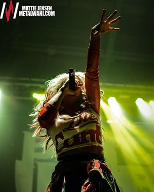 Image post by @heidithebutcher on Instagram