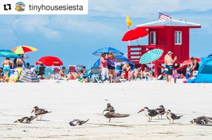 Image post by @visitsarasotacounty on Instagram