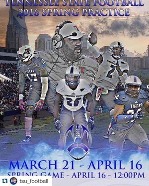 Image post by @tsutigers on Instagram
