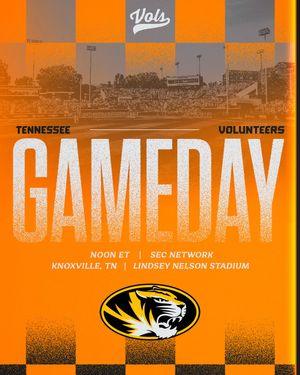 Image post by @vol_baseball on Instagram