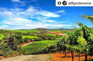 Image post by @jeffgordonweb on Instagram