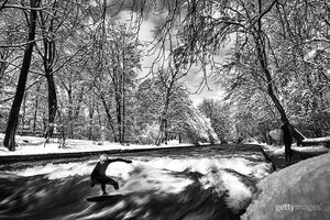 Image post by @gettyimages on Instagram