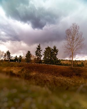 Image post by @amy.kennedy.photos on Instagram