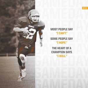 Image post by @TimothyKight on Twitter/X