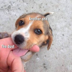 Image post by @9gag on Instagram