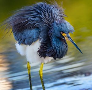 Image post by @discovery on Instagram