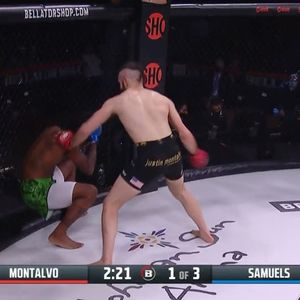 Image post by @bellatormma on Instagram