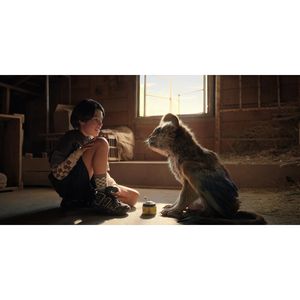 Image post by @company_3 on Instagram