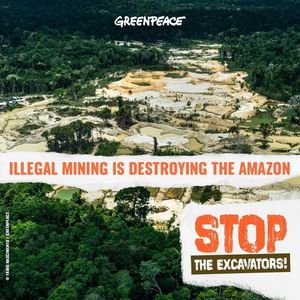 Image post by @greenpeace on Instagram