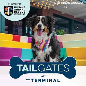 Image post by @sdterminal on Instagram