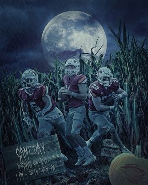 Image post by @susquehannafootball on Instagram
