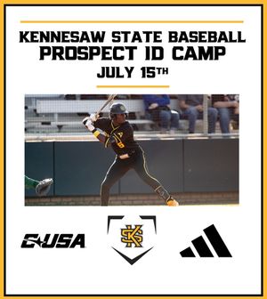 Image post by @ksuowlsbaseball on Instagram