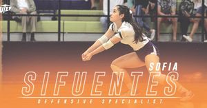 Image post by @utepvb on Instagram