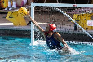 Image post by @SunDevilWP on Twitter/X