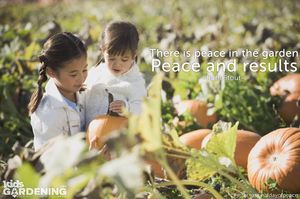 Image post by @kidsgardening on Instagram