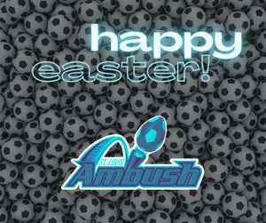 Image post by @stlouisambush on Instagram
