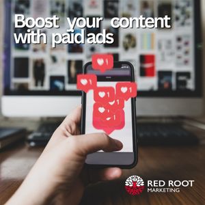 Image post by @redrootmarketing on Instagram