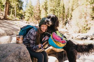 Image post by @triumphpetfood on Instagram