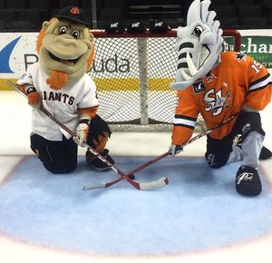 Image post by @sjbarracuda on Instagram