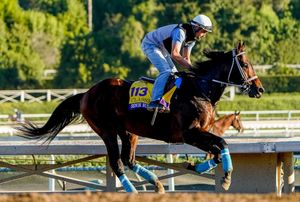 Image post by @breederscup on Instagram
