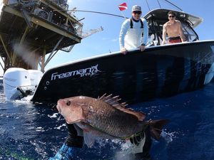 Image post by @freemanboatworks on Instagram