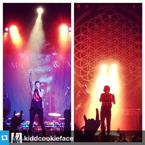 Image post by @thewarfield on Instagram