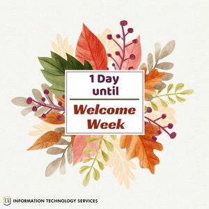 Image post by @mycalstatela on Instagram