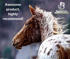 Image post by @equinecareprobiotic on Instagram