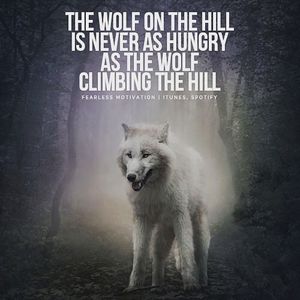 Image post by @qbvelocity on Instagram