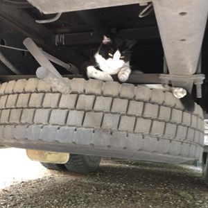 Image post by @snaffle_it on Instagram