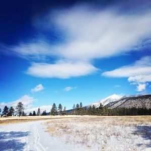 Image post by @nauflagstaff on Instagram