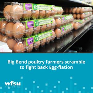 Image post by @wfsupublicmedia on Instagram