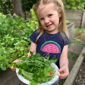 Image post by @kidsgardening on Instagram