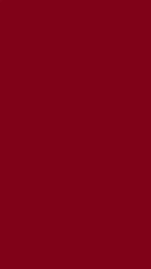 Video post by @uofscalumni on Facebook