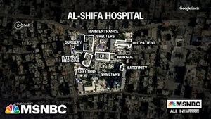 Video post by @msnbc on YouTube
