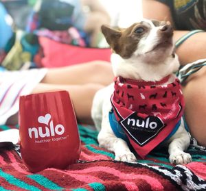 Image post by @nulopetfood on Instagram