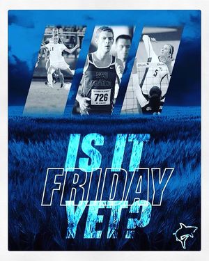 Image post by @nsu_vball on Instagram